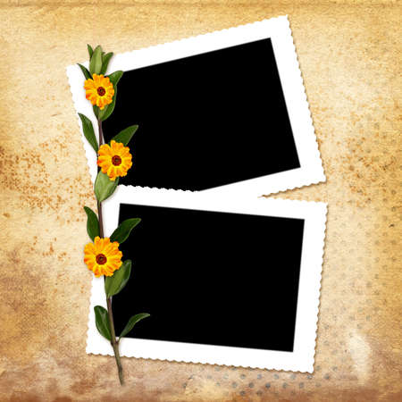 Card with bouquet on old grunge background
の写真素材