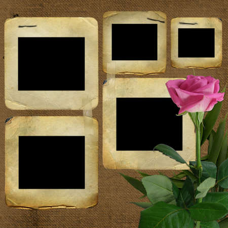 Old slides for photo with pink roseの写真素材
