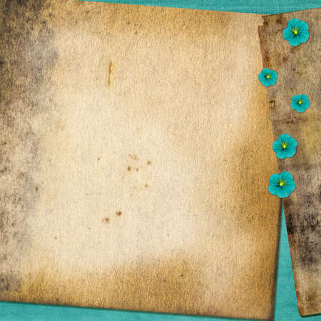 Card with flowers on old grunge background
の写真素材