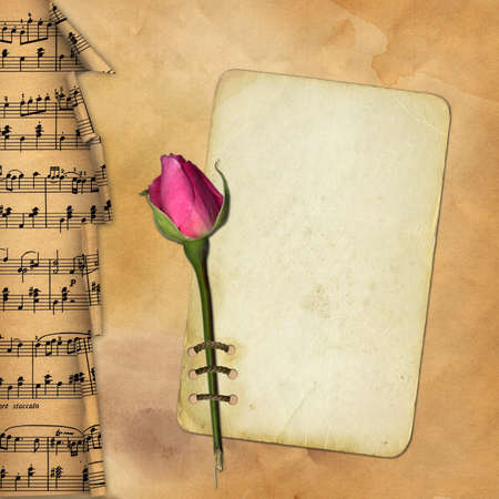 Grunge paper with rose on musical background
の写真素材