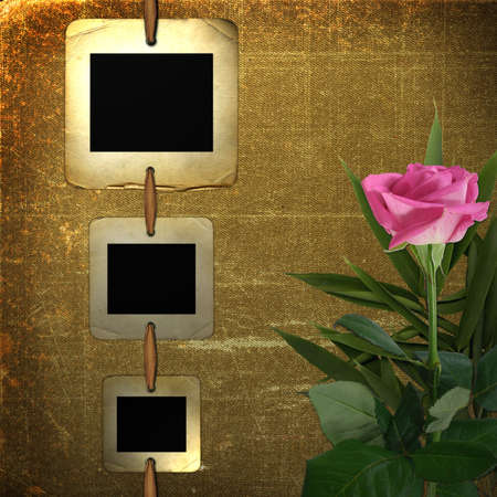 Old slides for photo with pink roseの写真素材