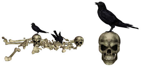 Ravens sit on skeletons - isolated on whiteの写真素材