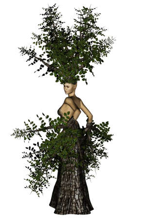 a mother nature tree - isolated on whiteの写真素材