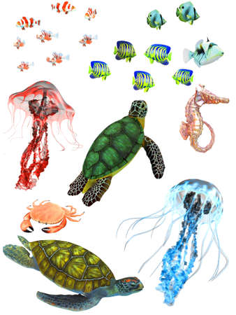 underwater animalsの写真素材