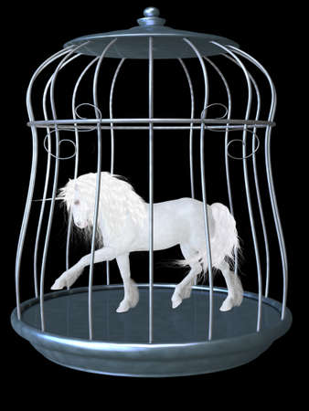 white unicornの写真素材