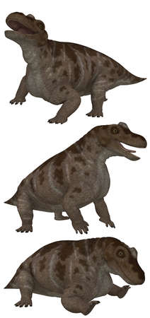 Keratocephalus lived in South Africa - isolated on whiteの写真素材