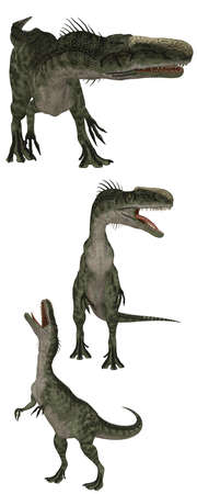 Monolophosaurus lived in China - isolated on whiteの写真素材