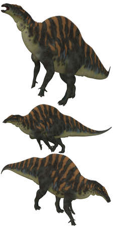 Ouranosaurus lived in Africa - isolated on whiteの写真素材
