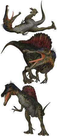 Spinosaurus lived in North Africa - isolated on whiteの写真素材