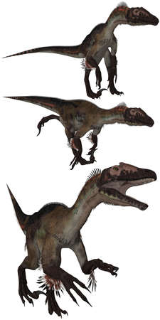Utahraptor lived in the USA - isolated on whiteの写真素材