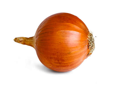 close up photograph of fresh onion against the white backgroundの写真素材