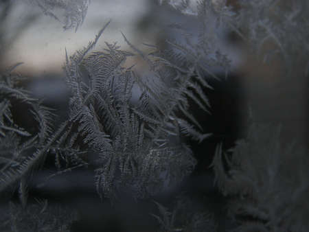 frosty patternの写真素材