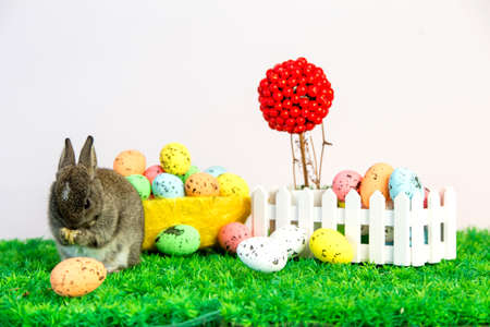 Small cute bunny with easter eggs in a yellow basketの写真素材