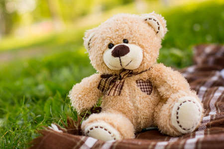 Teddy bear on the green grassの写真素材