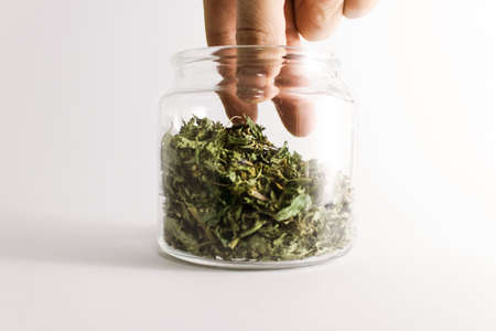 A hand trying to get out a dry melissa and mint tea out of a jar.