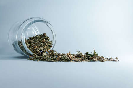 Dry melissa and mint tea dropped out of a jar. Healthy living lifestyle