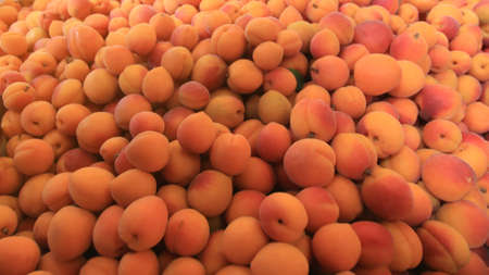Fresh Peaches background, Nectarine, 16x9の写真素材