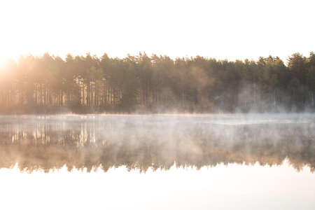 Cold summer morning in the forest with lake, forest reflection and mist on the water surface.の写真素材
