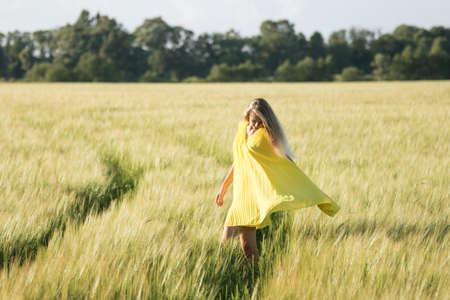 Blonde girl posing in the green barley field and enjoying summer in nature golden hour sunset. Girl...