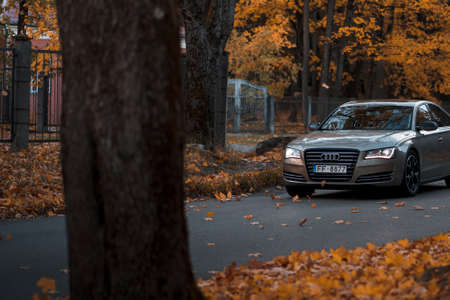 Riga, Latvia-October 6, 2021: Audi A8 driving on the city street during the beautiful autumn leaf fallのeditorial素材