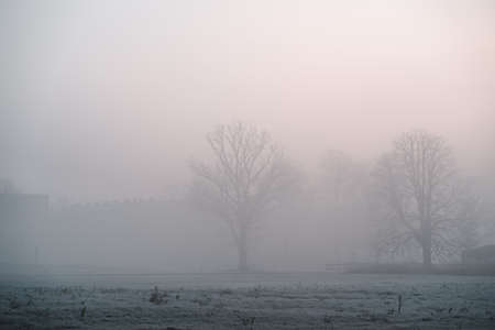 Foggy and cold autumn morning in the city, selective focusの写真素材