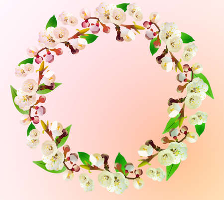 Floral frame with sprigs and flowers of apricots. Spring flowers. (vector illustration)のイラスト素材