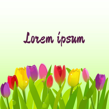 Spring background with tulips. vector illustrationのイラスト素材