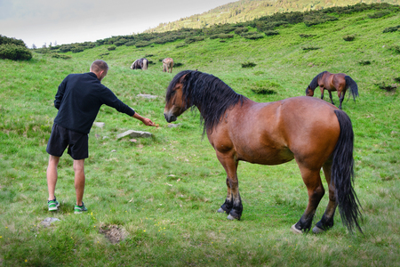 a man feeding a horse out of handの写真素材