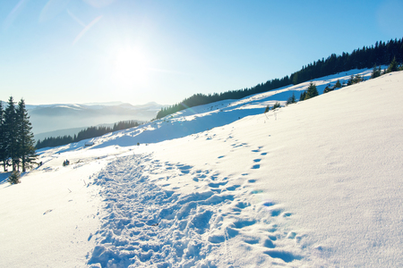the trail in the in the snowy mountainsの写真素材