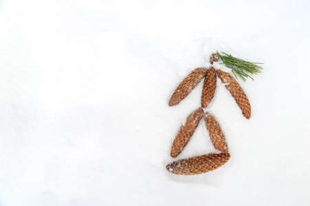 snow painted pine cones , Christmas decoration backgroundの写真素材
