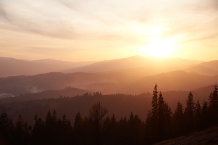 A lovely colorful orange sunset in the summer mountainsの写真素材