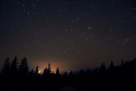 Starry sky above the earth scenic night landscape