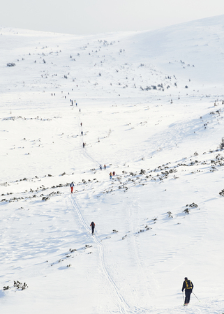 Skitouring group with mountain views in winterの写真素材