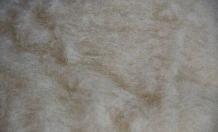 white Raw wool, ready for manufacturingの写真素材