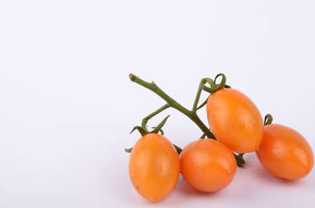 Small vine of mediterranean tomaotesの写真素材