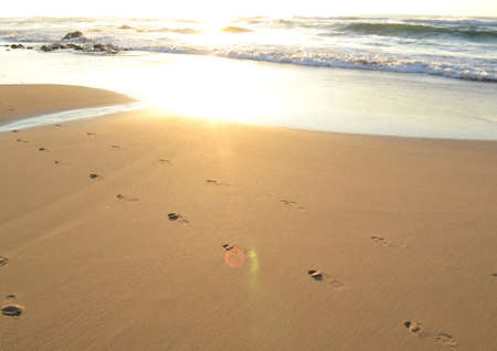 Footprints in sandの写真素材