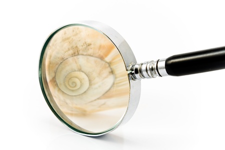 Magnifier in fron of Spiral Shell isolated on whiteの写真素材