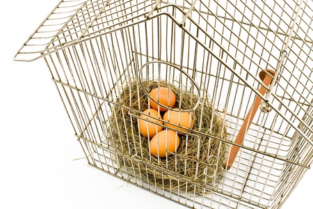 Eggs in Nest confined in Bird Cage isolated on withの写真素材