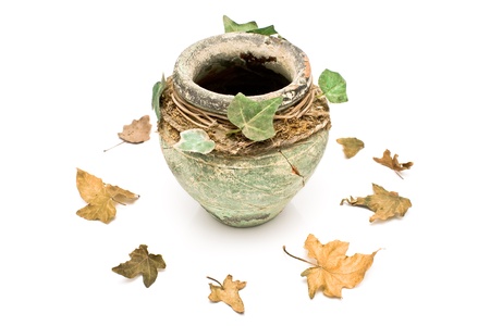 Old rustic clay pot with leaves isolated on whiteの写真素材