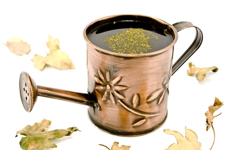 Small Watering can with dry leafsの写真素材