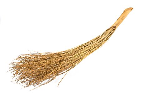 Dry palm branch isolated on whiteの写真素材