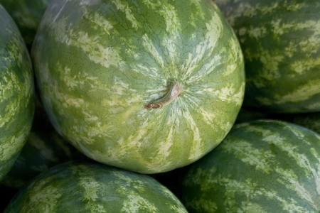 Water melons background の写真素材