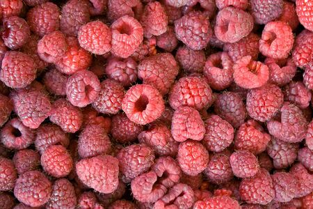 Red raspberry as background