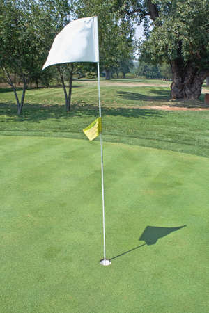 Golf flag wavingの写真素材