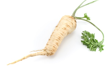 Fresh parsley with root and leaf isolated on whiteの写真素材