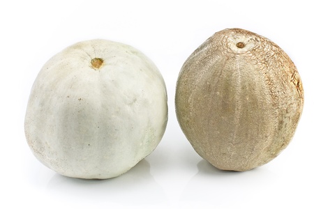 Two pumpkins isolated on white backgroundの写真素材