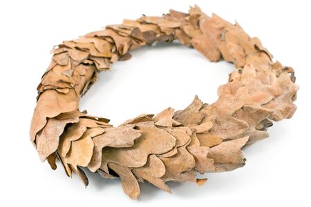 Wreath of oak leaves isolated on whiteの写真素材