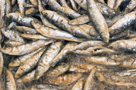 Grilled sardines in hot oilの写真素材
