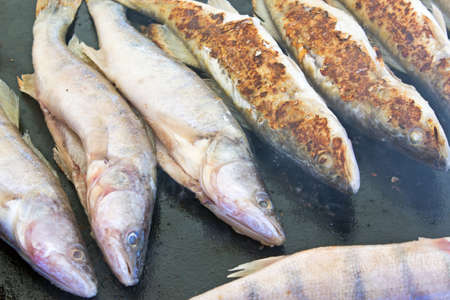 Perch fish on grill