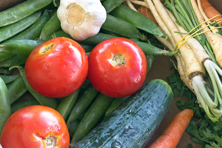 Various organic vegetables closeup 